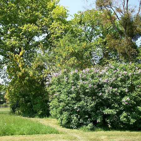 Panzió Chateau Des Lutz