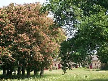 Chateau Des Lutz Daon