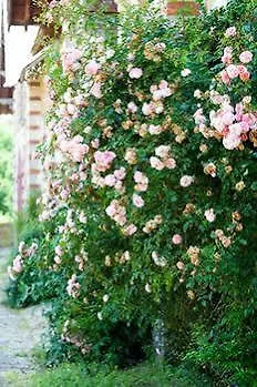 Chateau Des Lutz 4* Daon