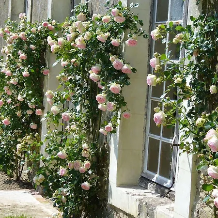 Chateau Des Lutz