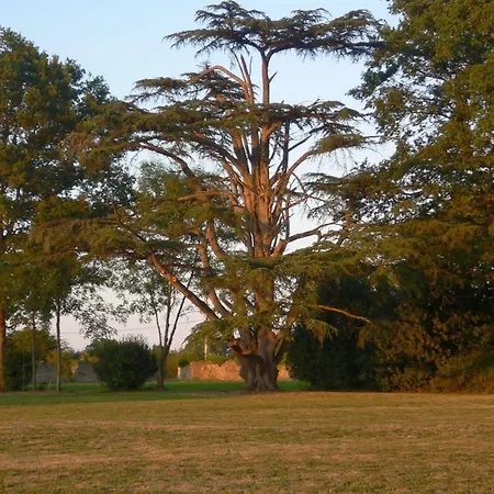Chateau Des Lutz Frühstückspension Daon
