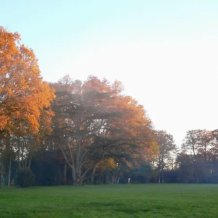 Chateau Des Lutz Daon