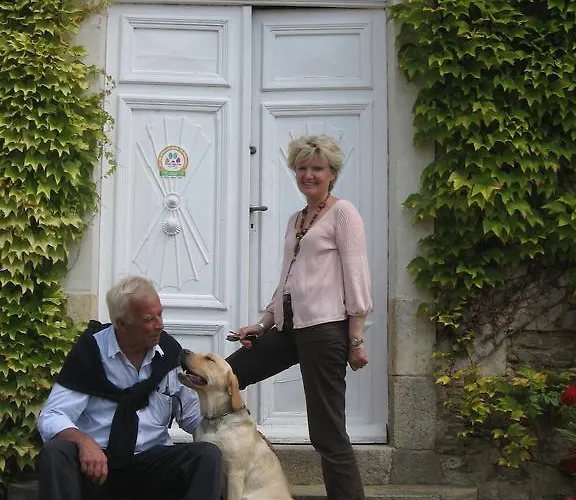 Chateau Des Lutz Daon