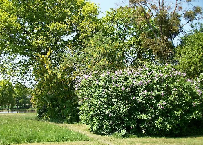 Bed & Breakfast Chateau Des Lutz