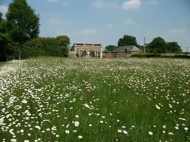 Chateau Des Lutz Daon