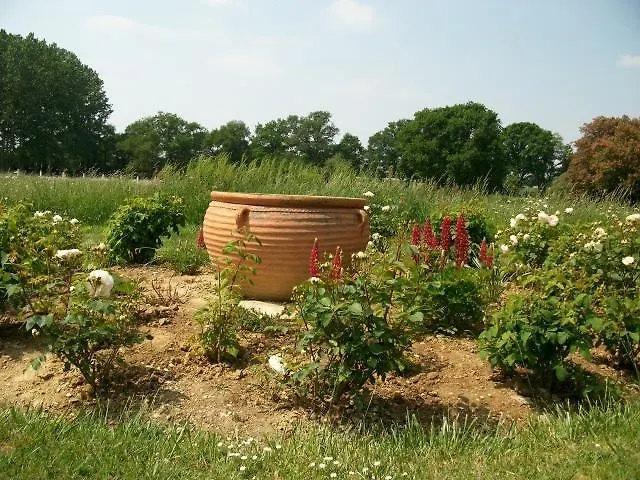 Chateau Des Lutz Daon