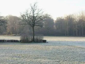 Bed & Breakfast Chateau Des Lutz