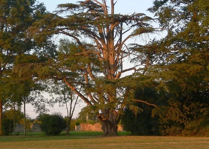 Chateau Des Lutz B&B Daon