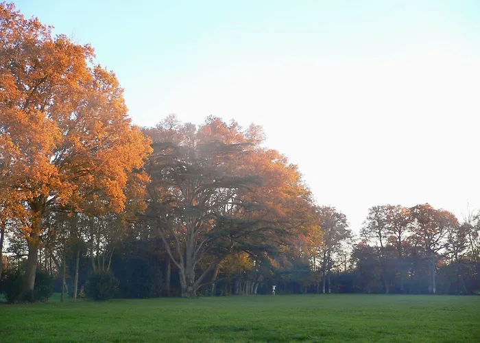 Chateau Des Lutz Daon